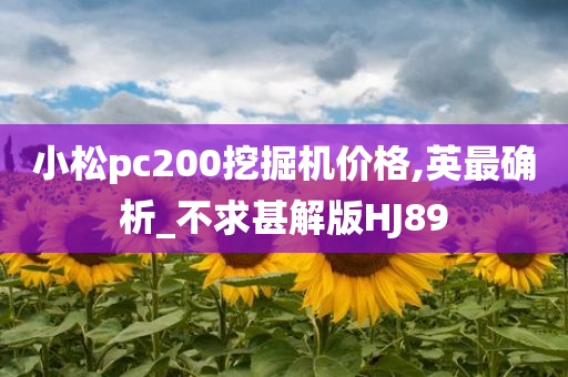 小松pc200挖掘机价格,英最确析_不求甚解版HJ89