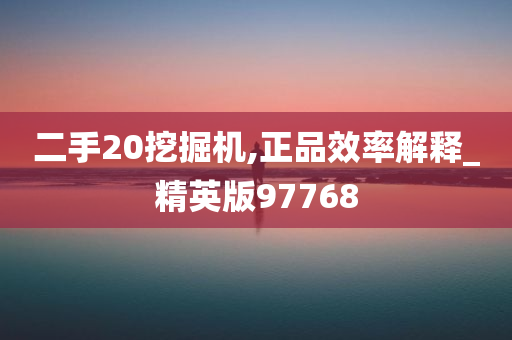 二手20挖掘机,正品效率解释_精英版97768