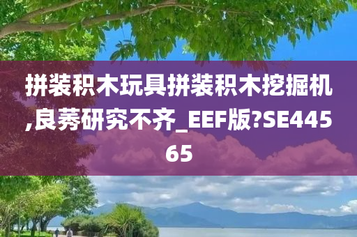 拼装积木玩具拼装积木挖掘机,良莠研究不齐_EEF版?SE44565