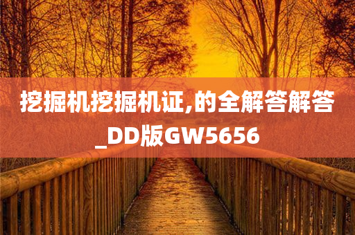 挖掘机挖掘机证,的全解答解答_DD版GW5656