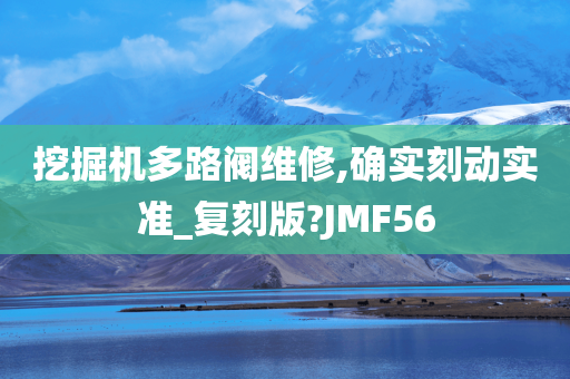 挖掘机多路阀维修,确实刻动实准_复刻版?JMF56