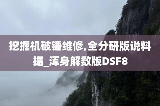 挖掘机破锤维修,全分研版说料据_浑身解数版DSF8