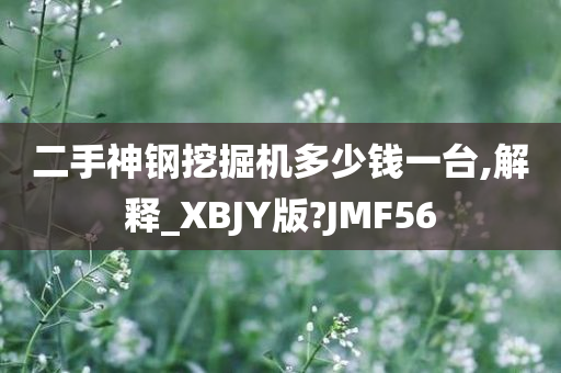 二手神钢挖掘机多少钱一台,解释_XBJY版?JMF56