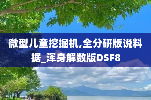 微型儿童挖掘机,全分研版说料据_浑身解数版DSF8