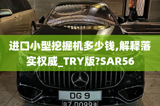 进口小型挖掘机多少钱,解释落实权威_TRY版?SAR56