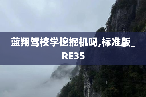 蓝翔驾校学挖掘机吗,标准版_RE35