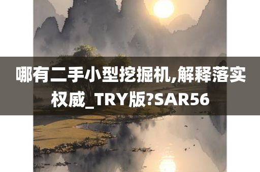 哪有二手小型挖掘机,解释落实权威_TRY版?SAR56