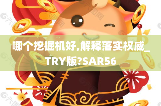 哪个挖掘机好,解释落实权威_TRY版?SAR56