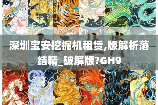 深圳宝安挖掘机租赁,版解析落结精_破解版?GH9