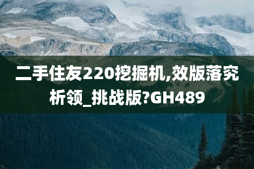 二手住友220挖掘机,效版落究析领_挑战版?GH489