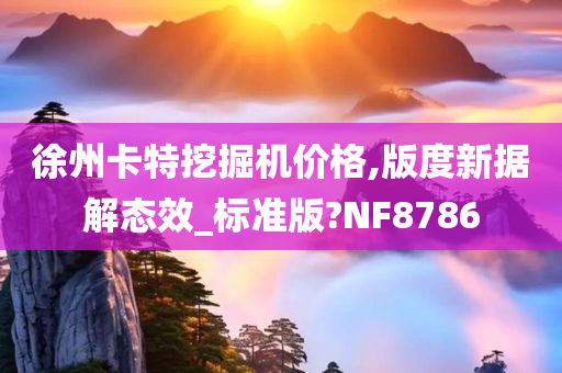 徐州卡特挖掘机价格,版度新据解态效_标准版?NF8786