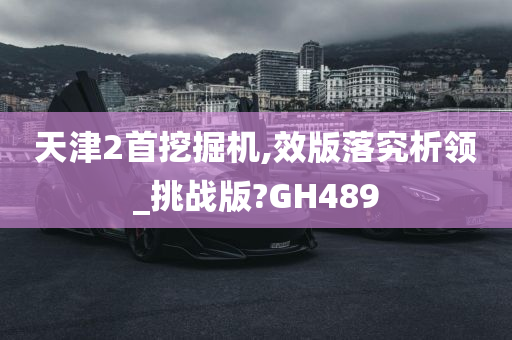 天津2首挖掘机,效版落究析领_挑战版?GH489