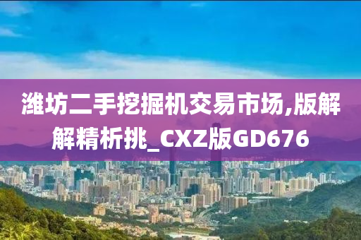 潍坊二手挖掘机交易市场,版解解精析挑_CXZ版GD676