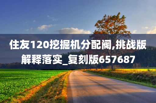 住友120挖掘机分配阀,挑战版解释落实_复刻版657687