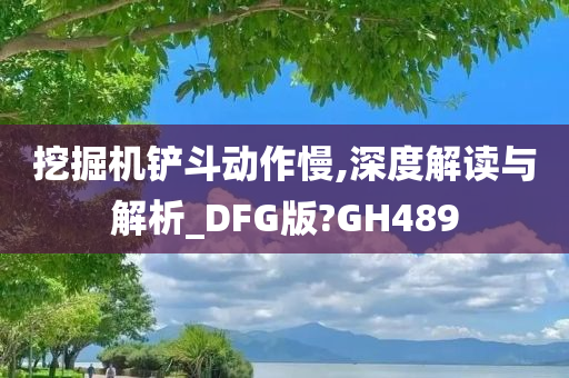 挖掘机铲斗动作慢,深度解读与解析_DFG版?GH489