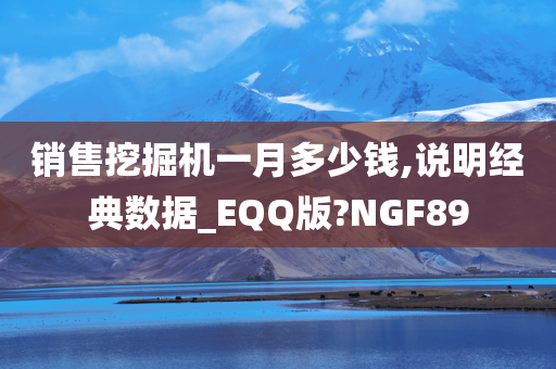 销售挖掘机一月多少钱,说明经典数据_EQQ版?NGF89