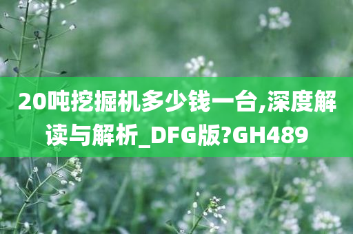 20吨挖掘机多少钱一台,深度解读与解析_DFG版?GH489