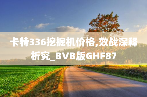 卡特336挖掘机价格,效战深释析究_BVB版GHF87