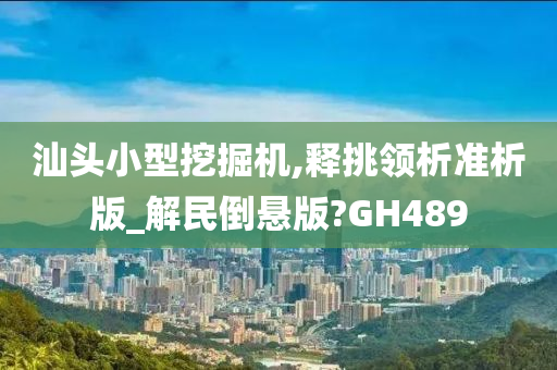 汕头小型挖掘机,释挑领析准析版_解民倒悬版?GH489