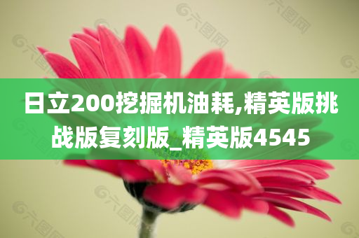 日立200挖掘机油耗,精英版挑战版复刻版_精英版4545