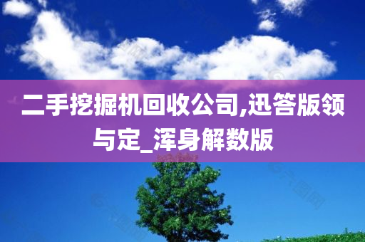 二手挖掘机回收公司,迅答版领与定_浑身解数版