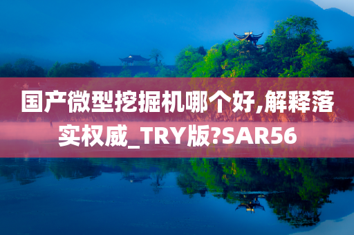 国产微型挖掘机哪个好,解释落实权威_TRY版?SAR56