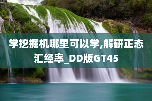 学挖掘机哪里可以学,解研正态汇经率_DD版GT45