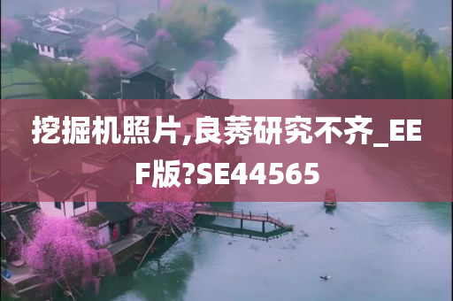 挖掘机照片,良莠研究不齐_EEF版?SE44565