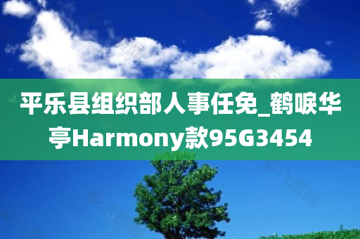 平乐县组织部人事任免_鹤唳华亭Harmony款95G3454