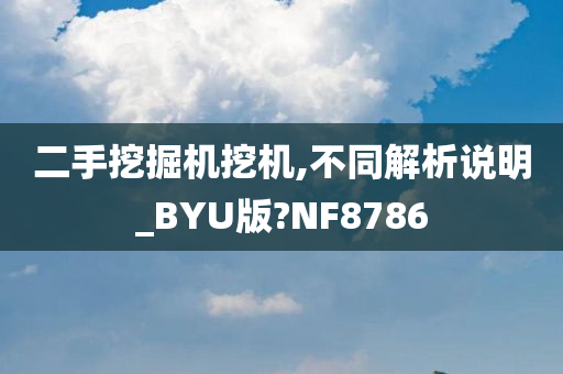 二手挖掘机挖机,不同解析说明_BYU版?NF8786