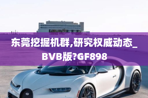 东莞挖掘机群,研究权威动态_BVB版?GF898