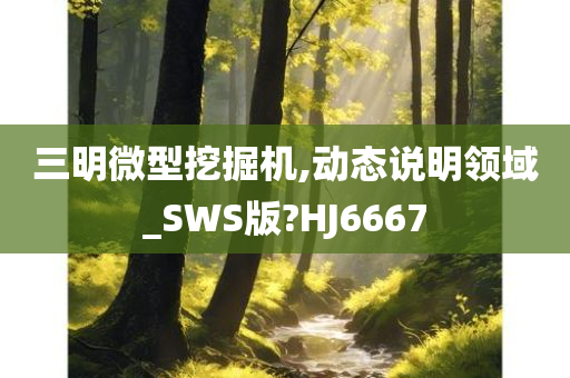 三明微型挖掘机,动态说明领域_SWS版?HJ6667