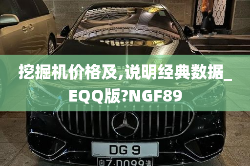 挖掘机价格及,说明经典数据_EQQ版?NGF89