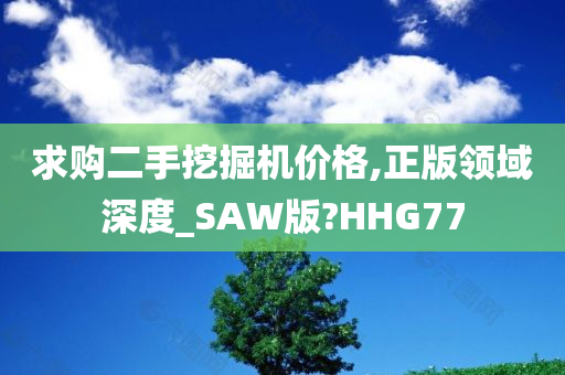 求购二手挖掘机价格,正版领域深度_SAW版?HHG77