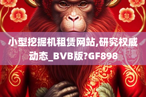 小型挖掘机租赁网站,研究权威动态_BVB版?GF898