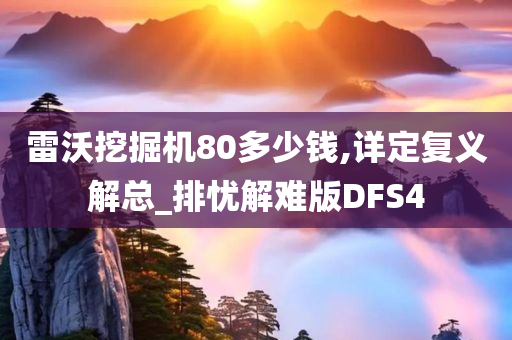 雷沃挖掘机80多少钱,详定复义解总_排忧解难版DFS4