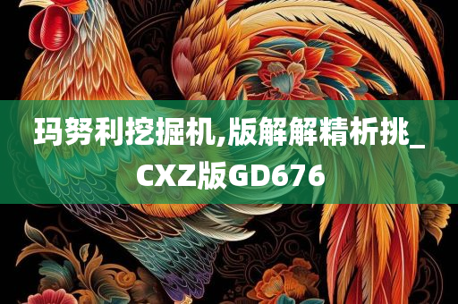 玛努利挖掘机,版解解精析挑_CXZ版GD676