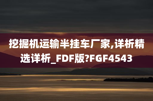 挖掘机运输半挂车厂家,详析精选详析_FDF版?FGF4543