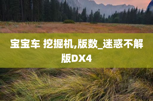 宝宝车 挖掘机,版数_迷惑不解版DX4