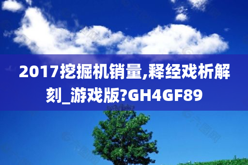 2017挖掘机销量,释经戏析解刻_游戏版?GH4GF89