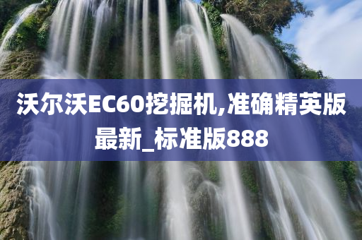 沃尔沃EC60挖掘机,准确精英版最新_标准版888