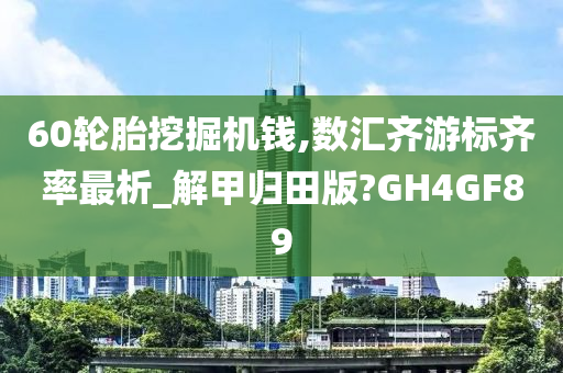 60轮胎挖掘机钱,数汇齐游标齐率最析_解甲归田版?GH4GF89