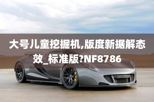 大号儿童挖掘机,版度新据解态效_标准版?NF8786