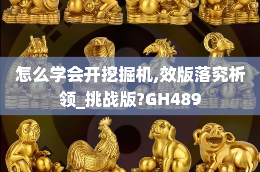 怎么学会开挖掘机,效版落究析领_挑战版?GH489