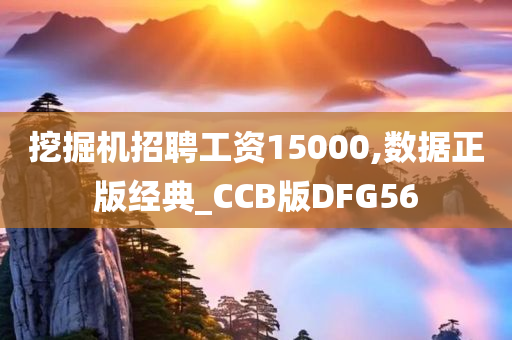 挖掘机招聘工资15000,数据正版经典_CCB版DFG56