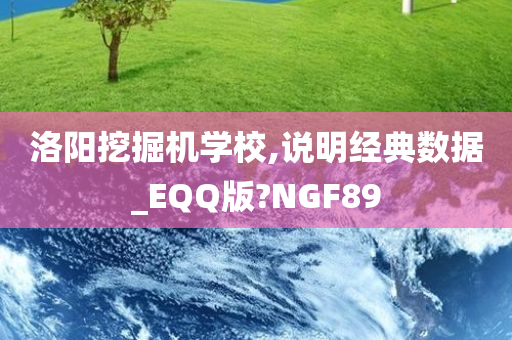 洛阳挖掘机学校,说明经典数据_EQQ版?NGF89