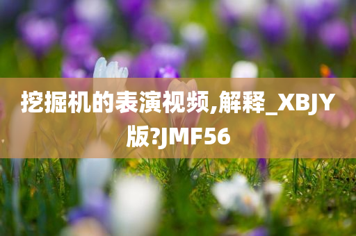 挖掘机的表演视频,解释_XBJY版?JMF56