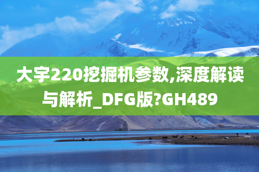 大宇220挖掘机参数,深度解读与解析_DFG版?GH489