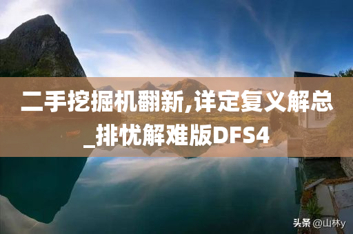 二手挖掘机翻新,详定复义解总_排忧解难版DFS4