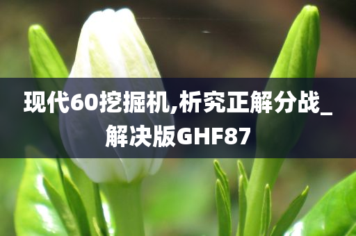 现代60挖掘机,析究正解分战_解决版GHF87